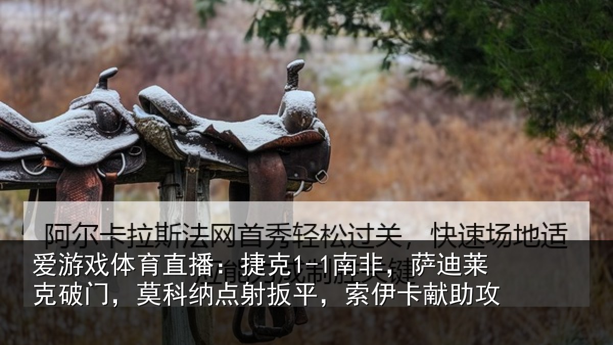 爱游戏体育直播:捷克相关情况,莫科相关情况献助攻
